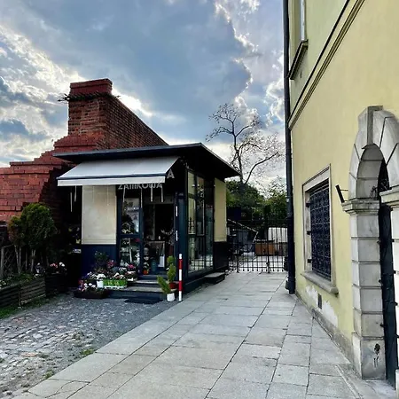 Old Town View Wifi 300 Mb/s Huge Screen Netflix Appletv Amazontv Lejlighed *